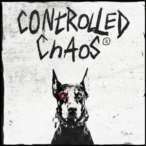 ZENITH OF CHAOS – Oversized Hoodie