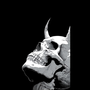 DARK DOMINATION – Oversized Hoodie